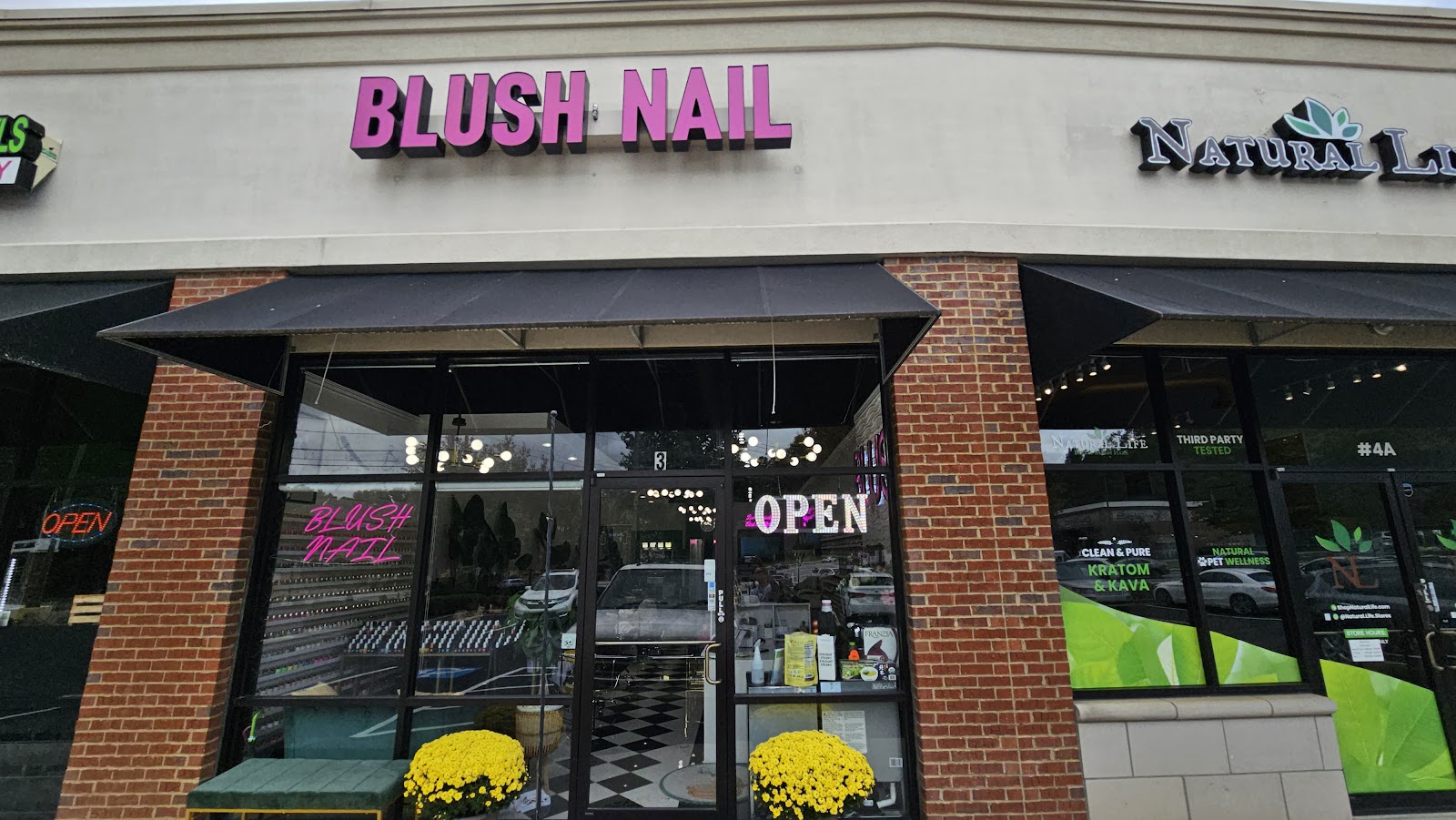 Blush Nail Lounge Alpharetta nail photo 8